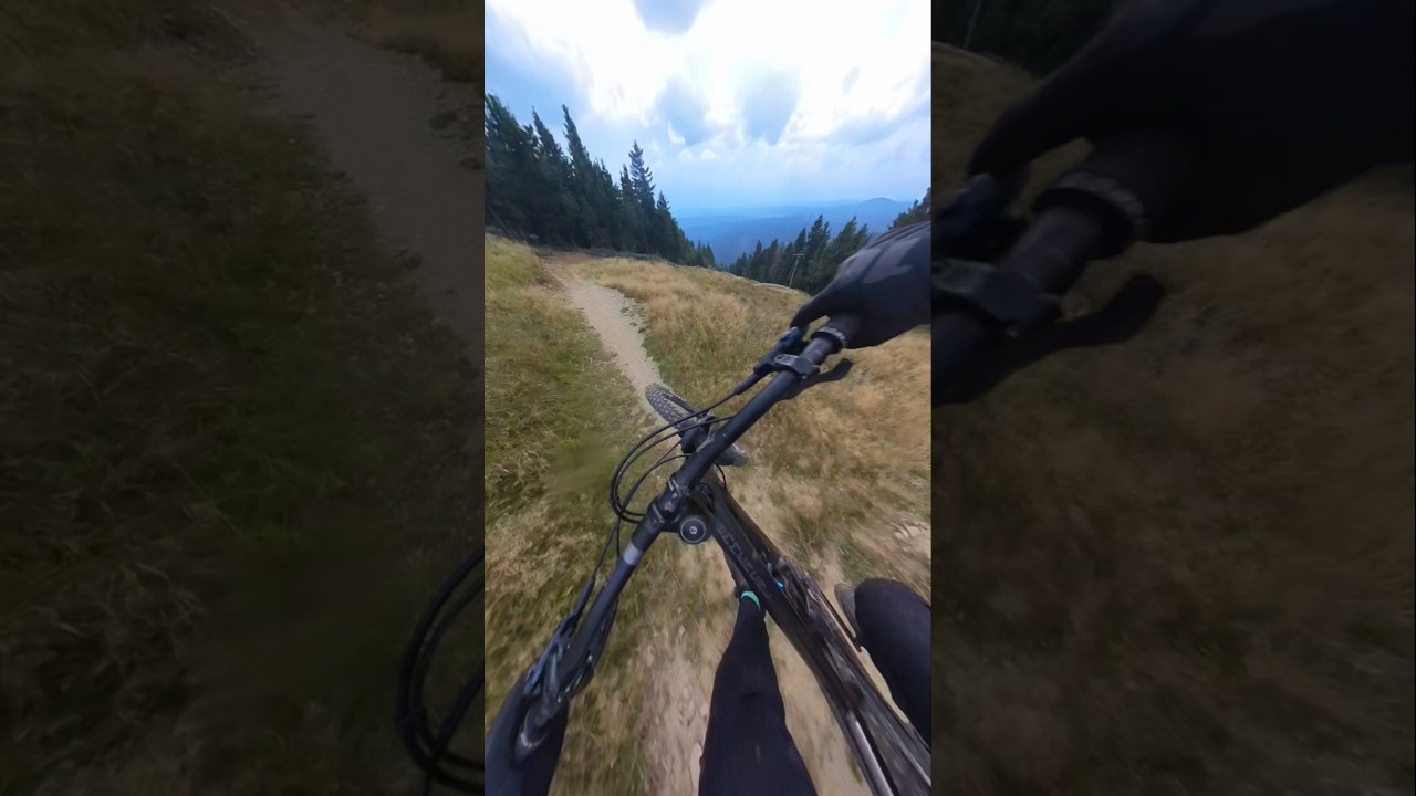 Downhill Line Klinovec #jumps #insta360 #mtb