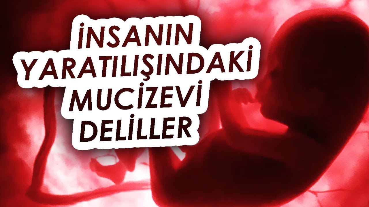 İnsanın yaratılışındaki Mucizevi Deliller ve Bazı Mantık Hataları / Zeki Bayraktar ve Fatih Orum