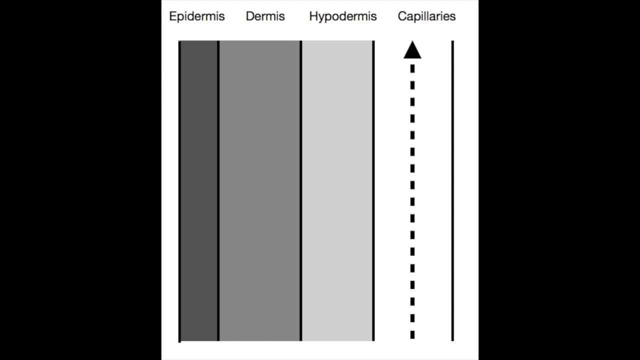 Transdermal Drug Diffusion