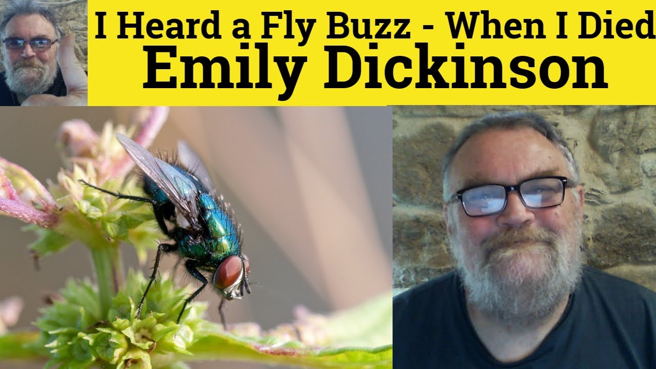 😎 I Heard A Fly Buzz When I Died Emily Dickinson Summary I Heard A Fly Buzz Emily Dickinson Analysis