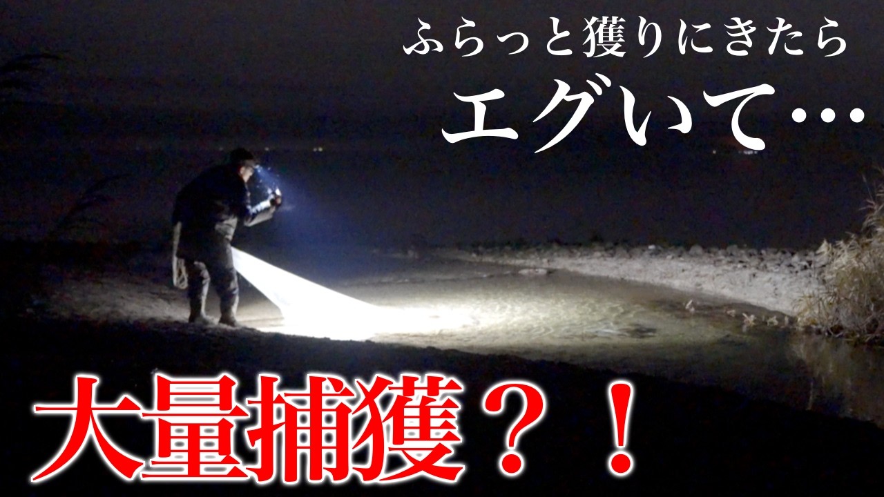 家族のために真冬の湖へ来たら…まさかの　【琵琶湖ワカサギ掬い2026】