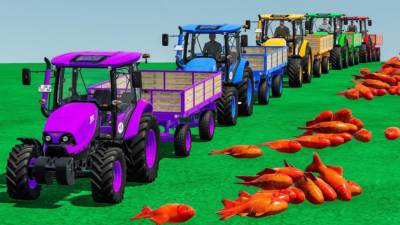 GIANT GOLD FISH! Mini Zetor Tractors & Delivery Mayhem FS22!