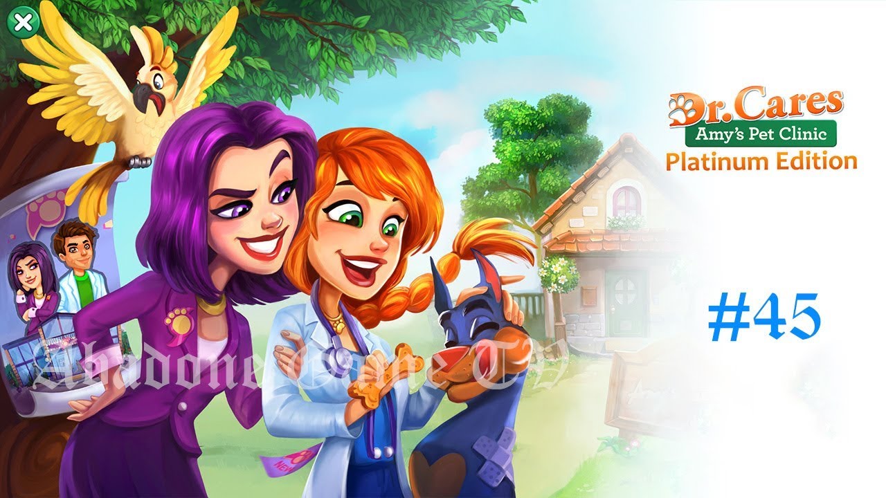 Dr. Cares 2 - Amy's Pet Clinic (PE) - CH.3-Challenge 15 (#45)(Walkthrough)