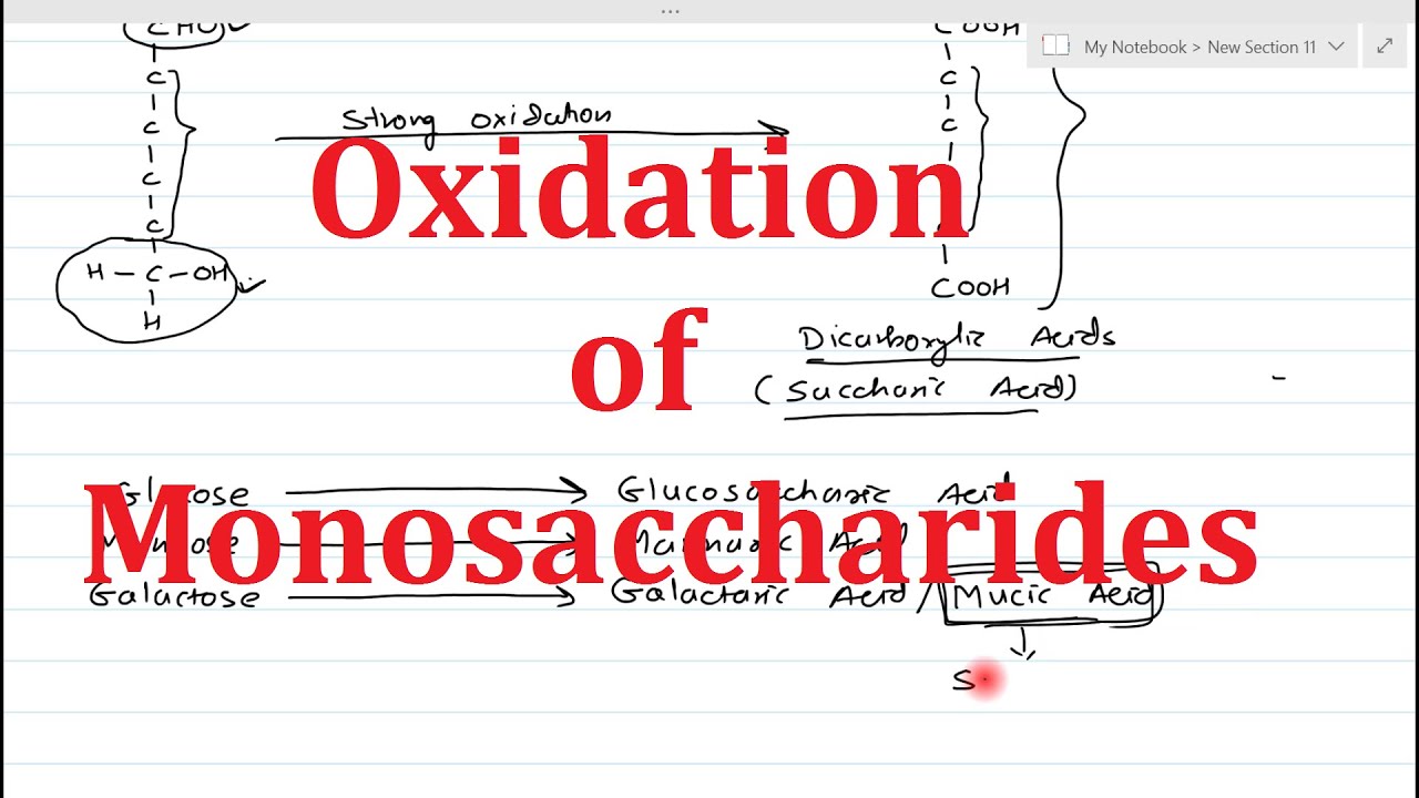 9. Reactions of Monosaccharides (Part-3) | Oxidation of monosaccharides | Uronic acid | Aldonic Acid