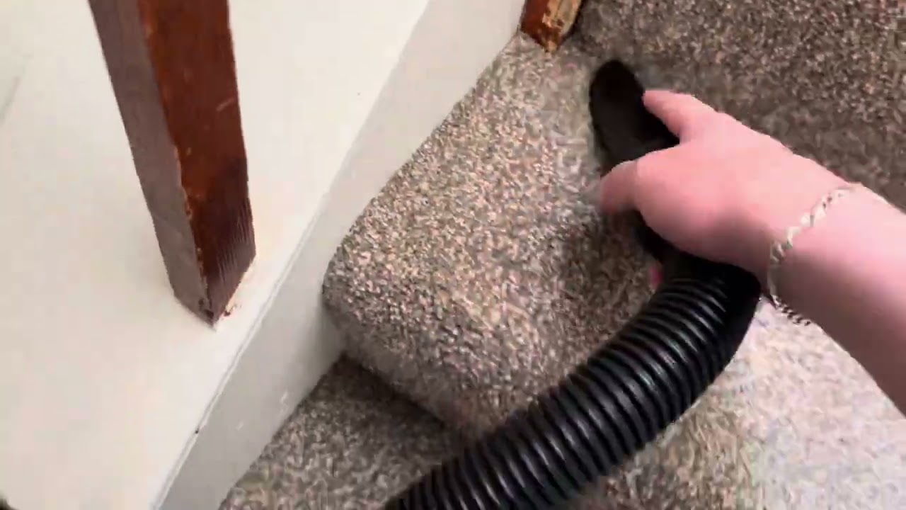 Vacuuming with my new Numatic NRV-200-22