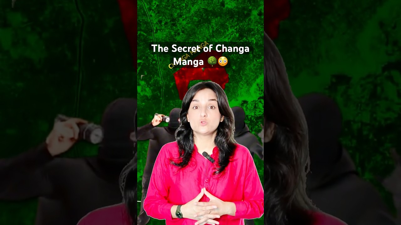 🌳 Changa Manga Forest &ndash; Pakistan&rsquo;s Largest Man-Made Forest 🌳 #facts