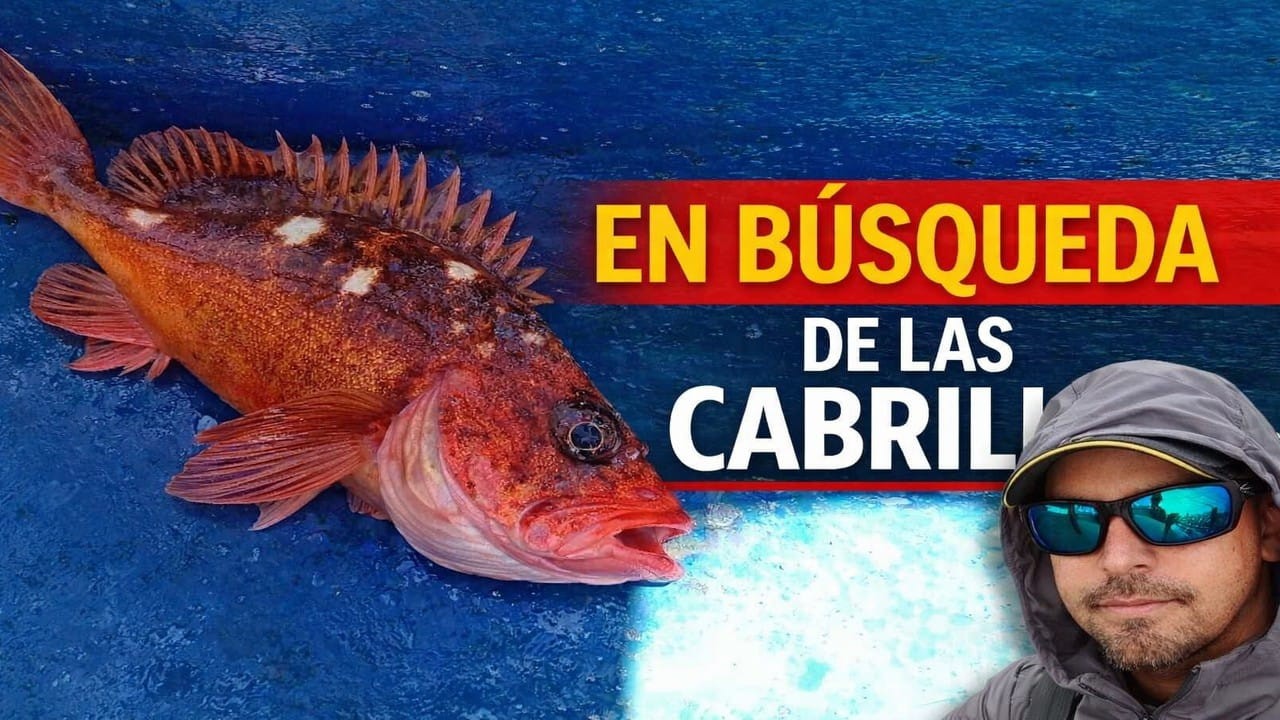 En búsqueda de las cabrillas