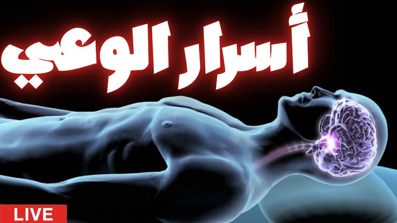 ماذا يحدث للوعي عندما نموت؟ هل نمتلك إرادة حرة حقًا؟