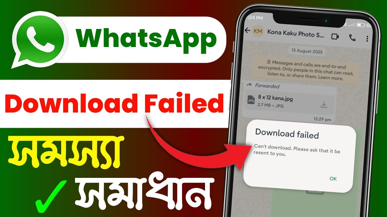 can't download please ask that it be resent to you whatsapp | whatsapp download failed