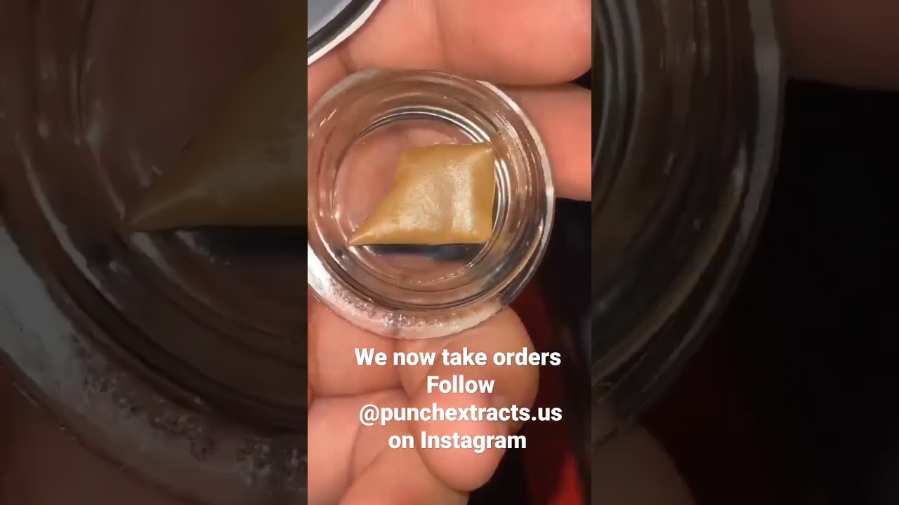 punch Extracts Live Rosin
