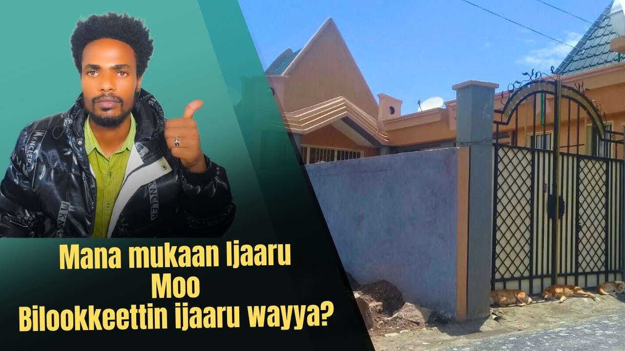 Mana mukaan ijaaruu moo bilokkettin ijaaruu wayya?
