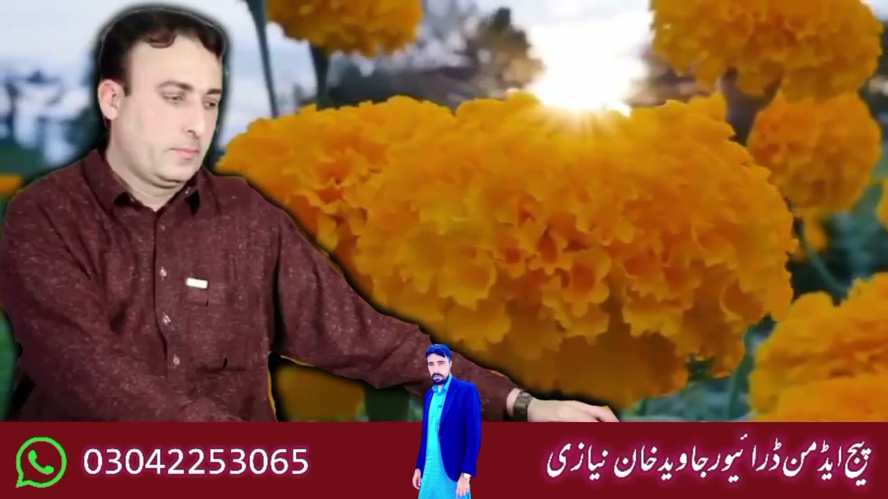 Nadir ashna new Pashto song