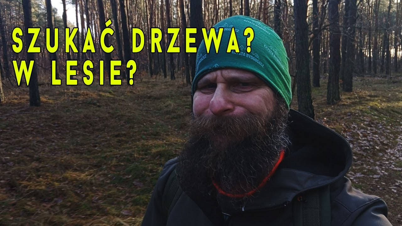 Szukamy drzew w lesie - Do Siego Rock'u - Lumix G5 - Fotografia lasu i nie tylko.