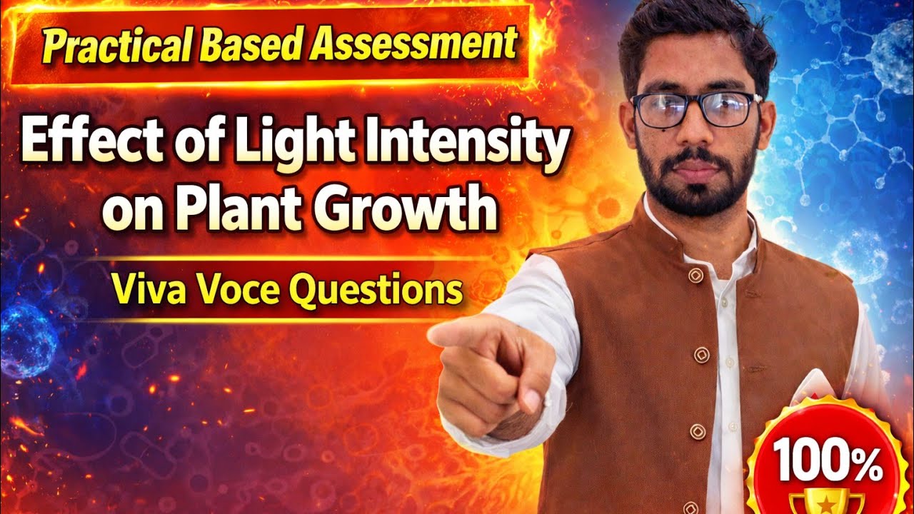 Practical Based Assessment | Class 12 Biology | Effect of Light Intensity on Plant Growth