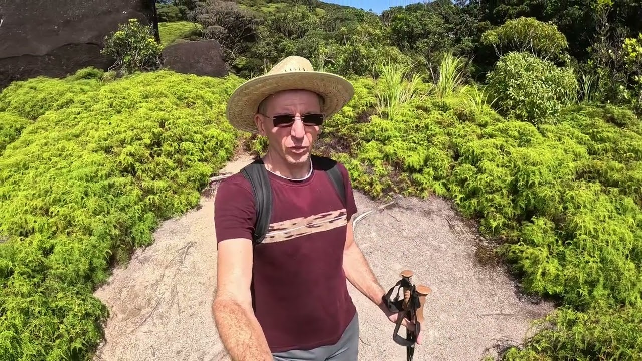 Devil's Thumb, Mossman QLD (Daintree National Park)