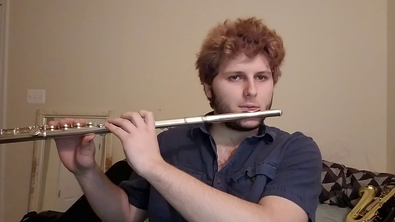 Nirvana - Heart Shaped Box (flute cover)