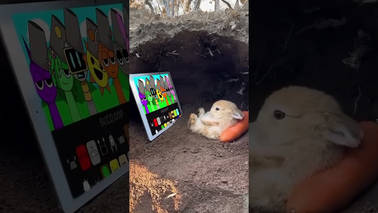 Bunny Watching Sprunki incredibox  