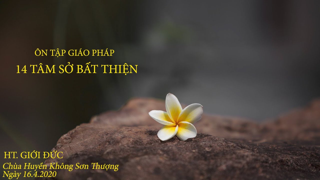 Ôn Tập Giáo Pháp - 14 Tâm Sở Bất Thiện | HT Giới Đức | Ngày 16/04/2020