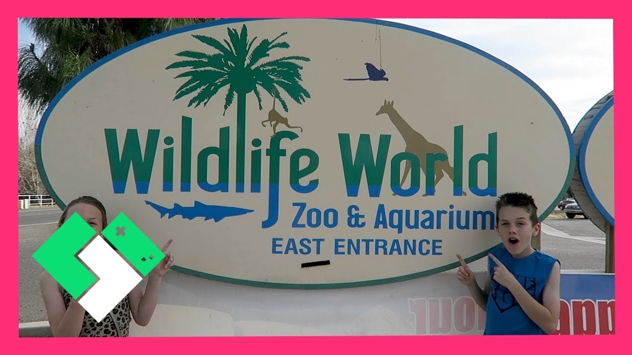 FAMILY FUN AT WILDLIFE WORLD ZOO & AQUARIUM (Day 1429) | Clintus.tv