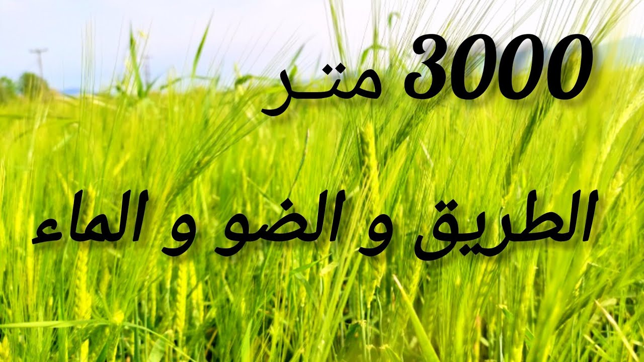 2025/4/27 : أرض ملكية عدلية قابلة للتحفيظ 3000 متر على الطريق ، ضو و لما بثمن 8 مليون : 0652902061