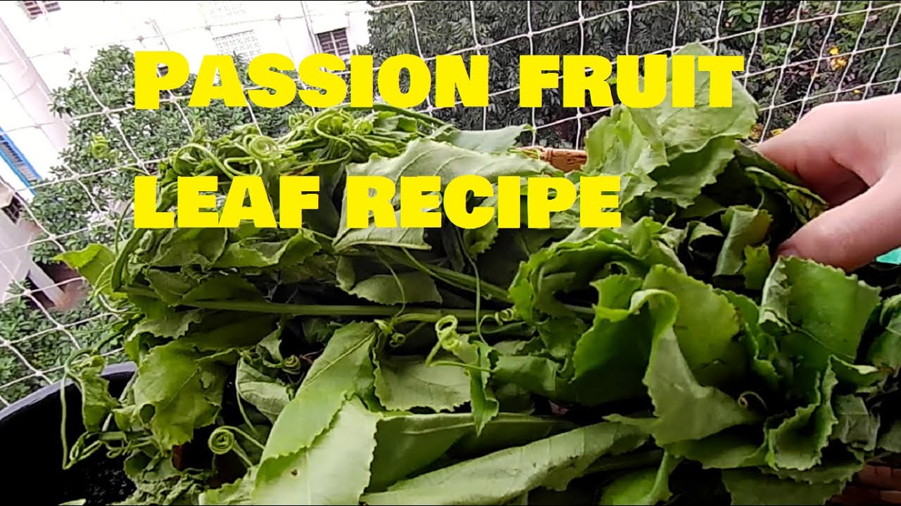 Passion fruit leaf recipes | without oil and stir frying