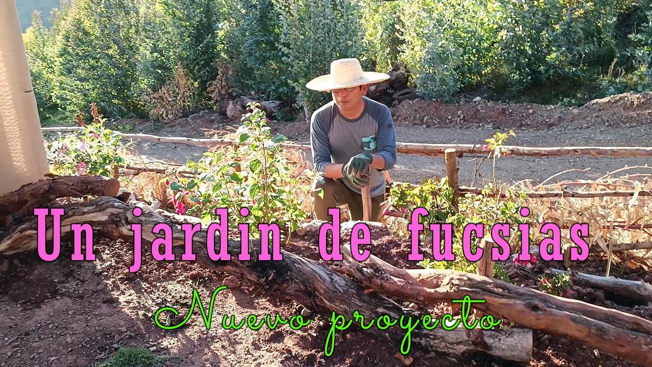 Un espacio para nuestras fucsias, Villa Lindura sigue transformándose. #flores #jardin
