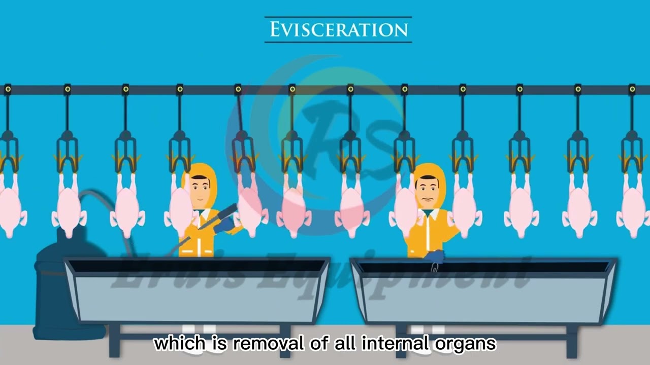 Compact Slaughter Equipment for Chicken Slaughtering Animation | Eruis