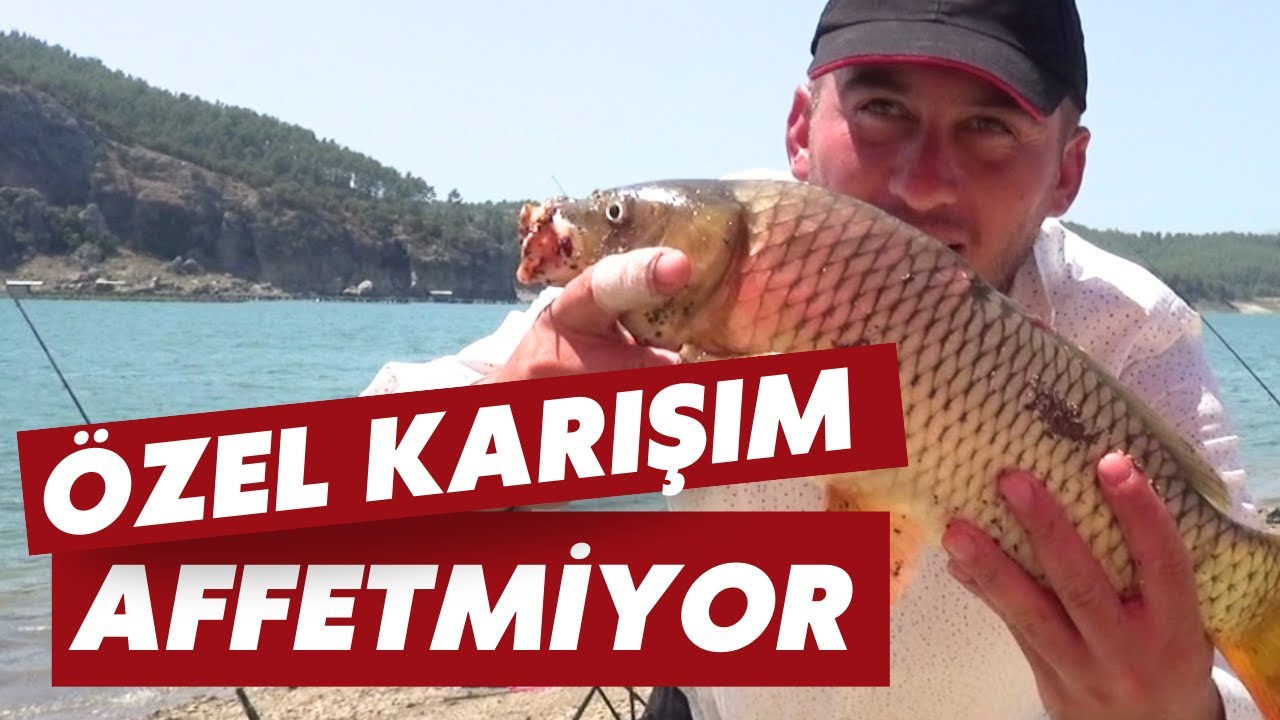SAZAN AVINDA DOĞRU YEMİN ÖNEMİ