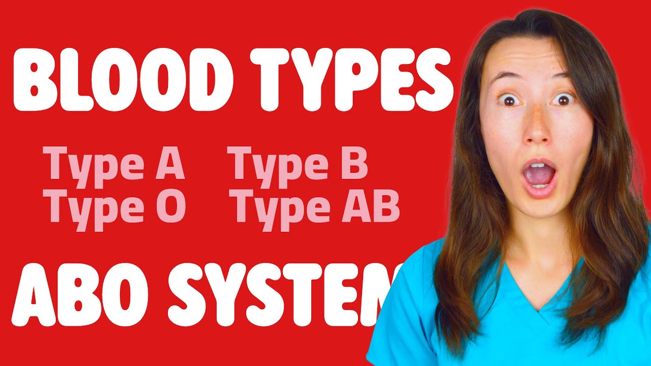 Система ABO: группы крови A, B, O, AB &mdash; просто и понятно!