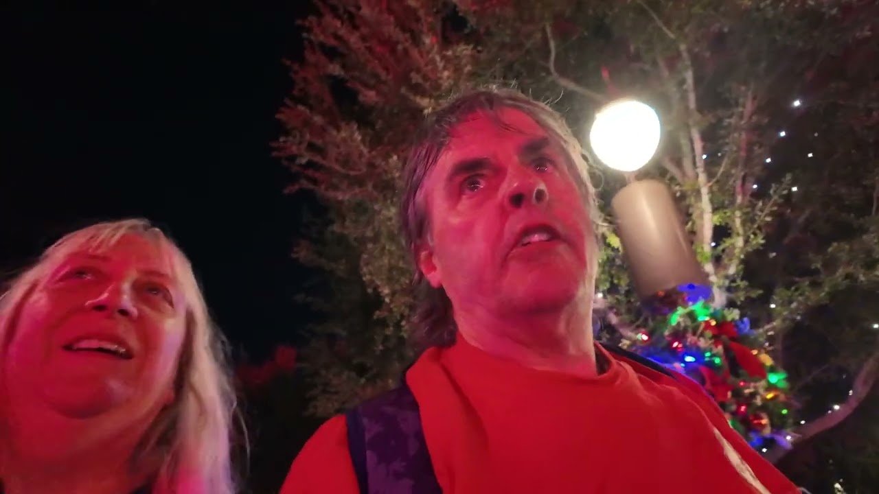 Walt Disney world 2025  day 2 vlog series Mickey very merry Christmas party 