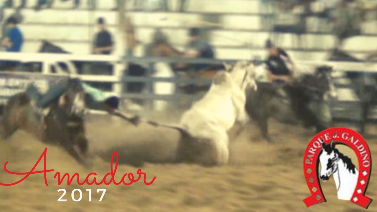 PQ J Galdino Amador. 2017
