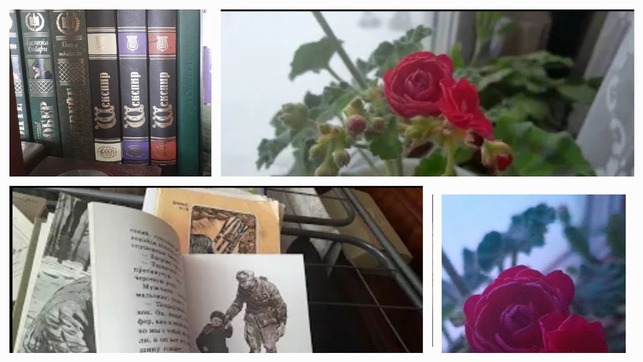 Книги которые мне нравится читать/Семейная Библиотека часть 2/Домашний #влог 
