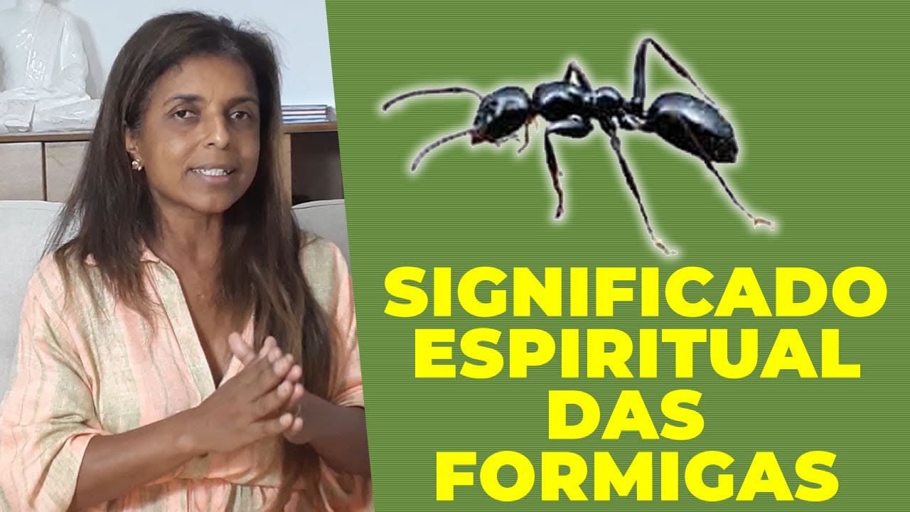 Qual o significado espiritual das Formigas com a Vidente Vandinha Lopes