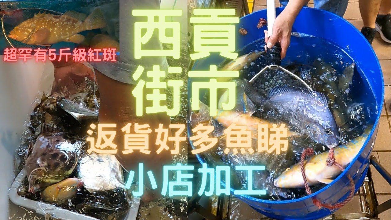 西貢街市見到舖頭返貨😍好多魚睇,乜都想試下🤤參觀下怪獸級5斤海紅斑😱我都係第一次見咁大🤩石蚌/大粒墨/網鰭石斑/花頭梅~fishcutting香港海鮮~社長遊街市Seafood
