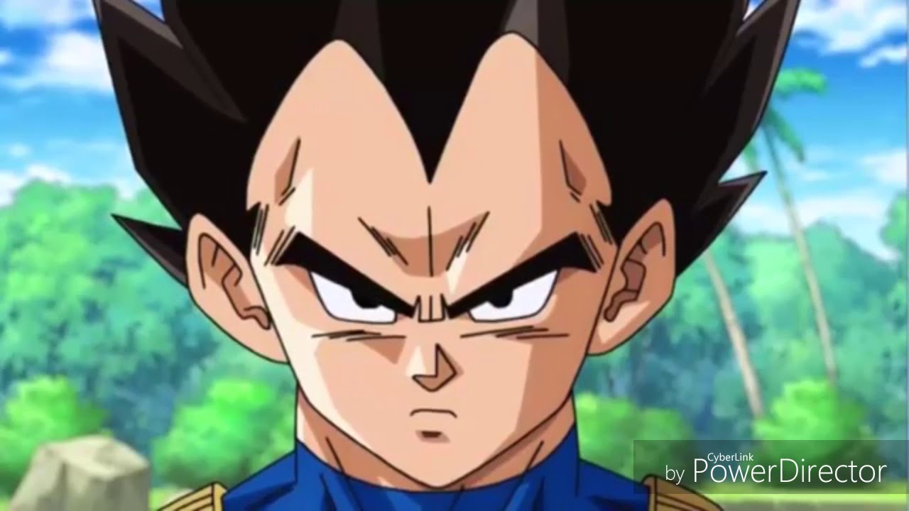 Que hubiera pasado si vegeta caia en el universo de naruto