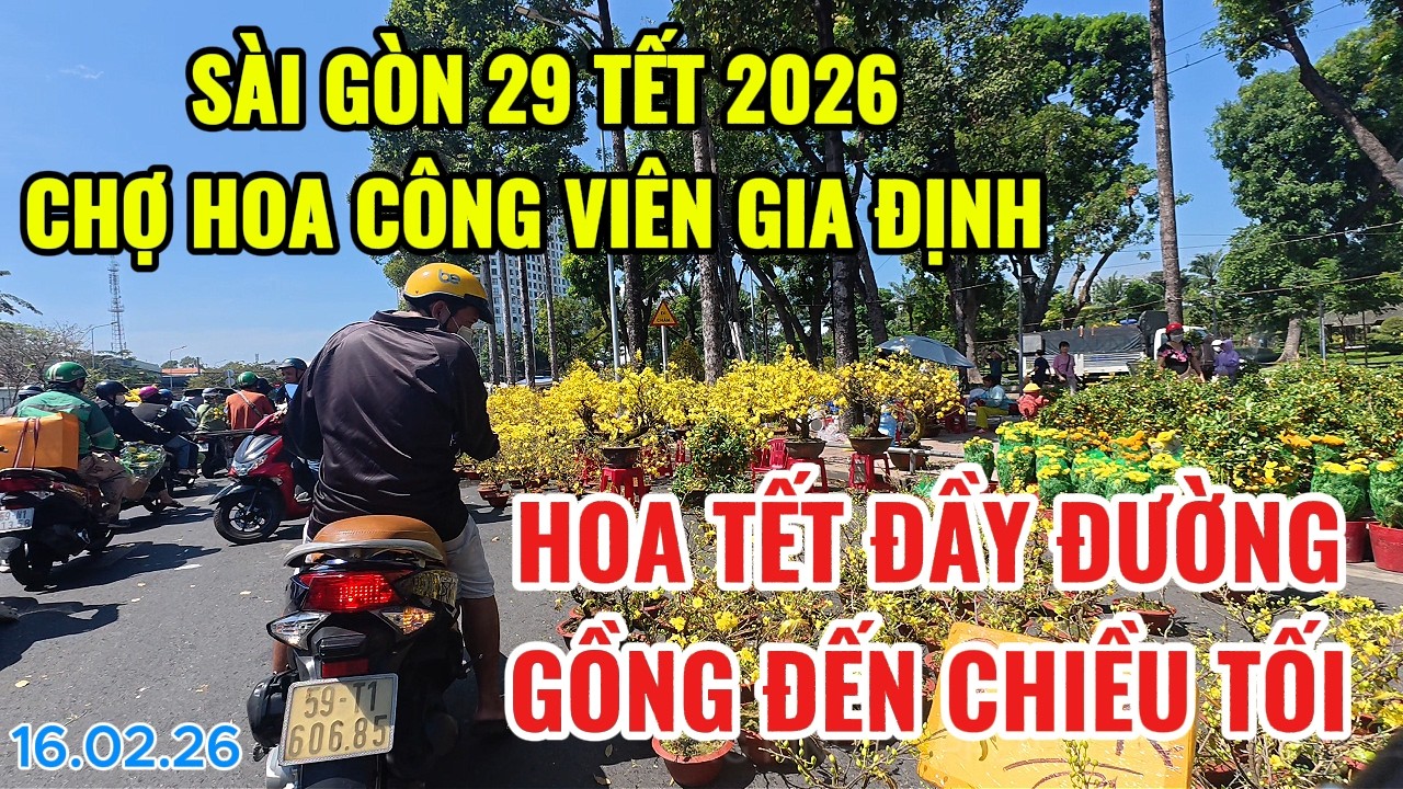 SÀI GÒN 29 TẾT 2026 CHỢ HOA CÔNG VIÊN GIA ĐỊNH | HOA TẾT ĐẦY ĐƯỜNG GỒNG ĐẾN CHIỀU TỐI |TẾT BÍNH NGỌ