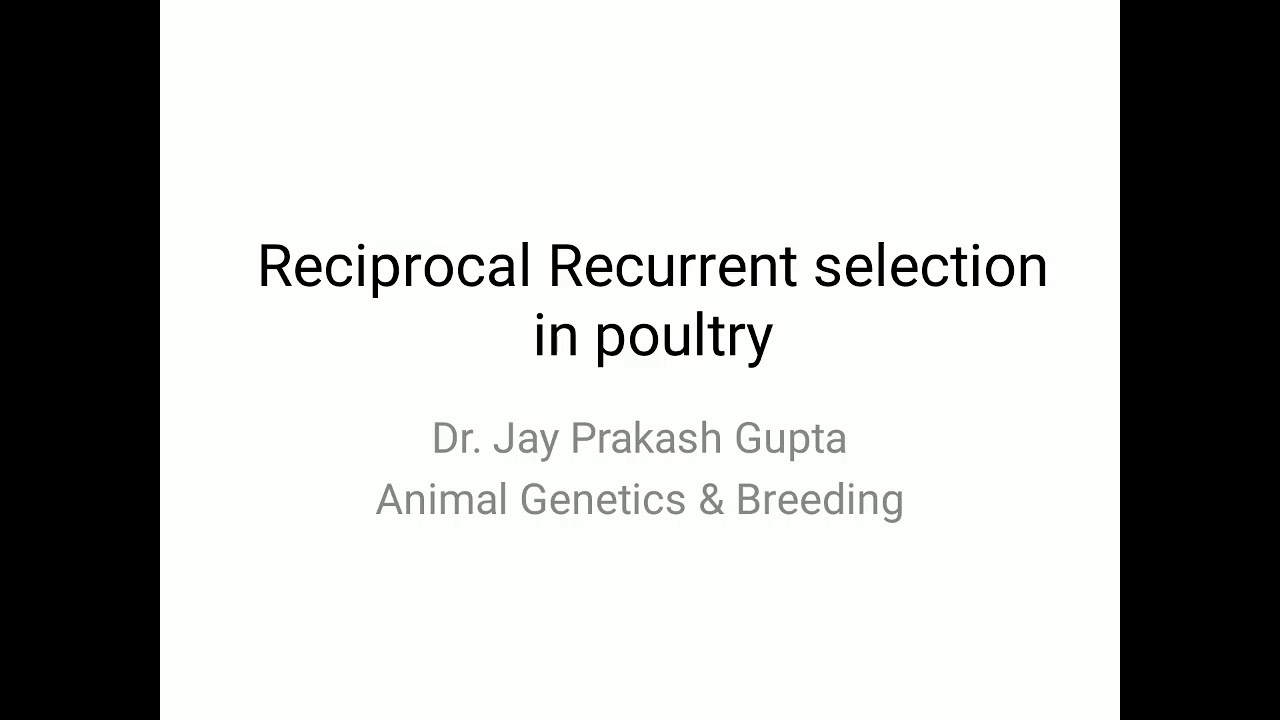 Reciprocal Recurrent Selection in Poultry