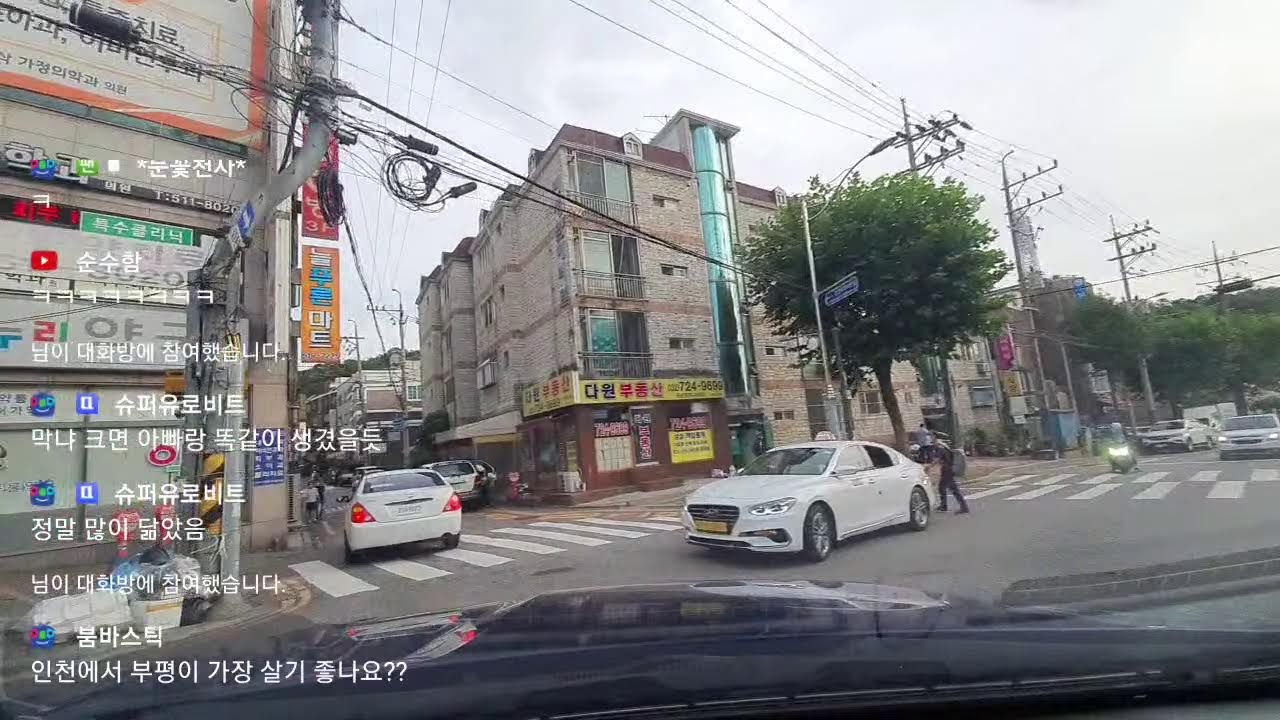 MC인진 부팽팍