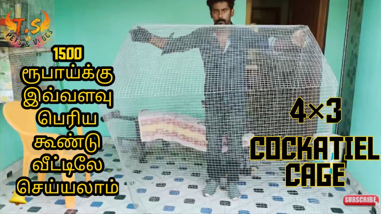 HOW TO MAKE A BIRDS CAGE AT HOME / BIG CAGE  தமிழில்