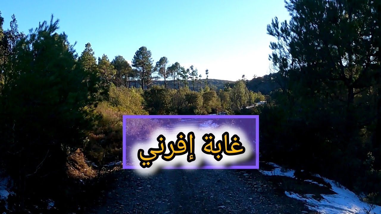 جولة مستمرة إلى الثلج في غابة إفرني Ifarni Ait Tuzine 