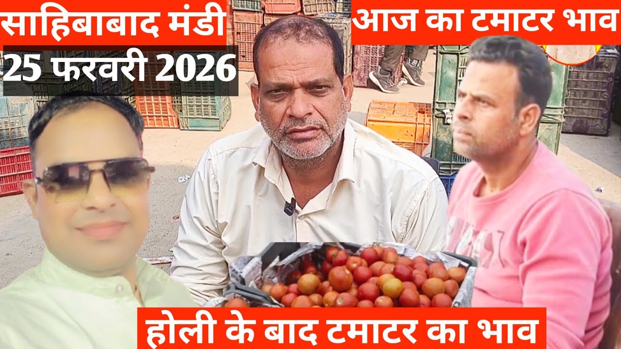 Why This Indian Mandi is Full of Tomatoes 🍅आज का टमाटर  भाव