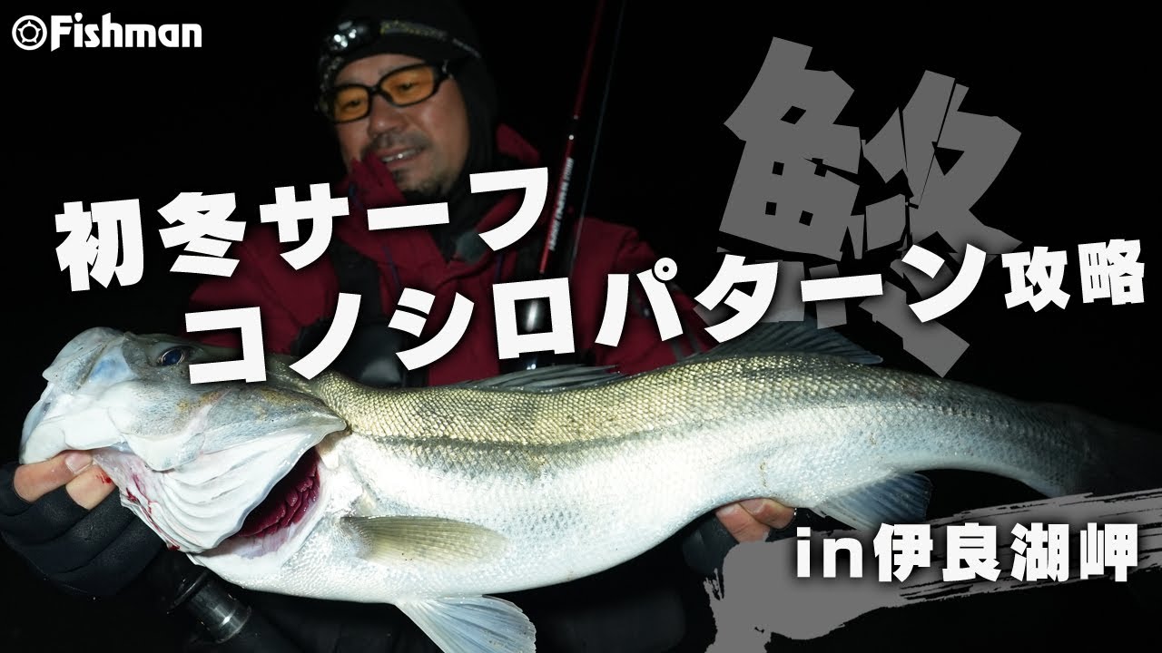 【シーバス×サーフ】出るか！コノシロパターンの巨大シーバス！