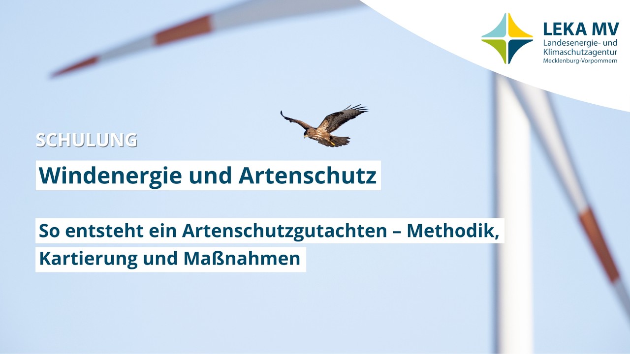 Artenschutzgutachten für Windenergieanlagen – Methodik, Kartierung und Maßnahmen (Teil 2)