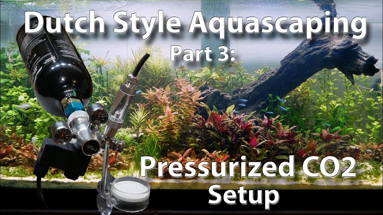 Dutch Style Aquascape Part 3:  Pressurized CO2 System Setup