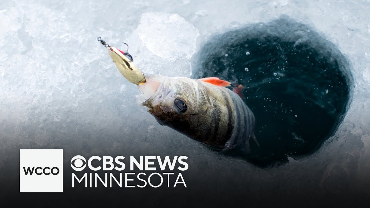 Temps are finally cold enough for ice fishing on Lake Minnetonka