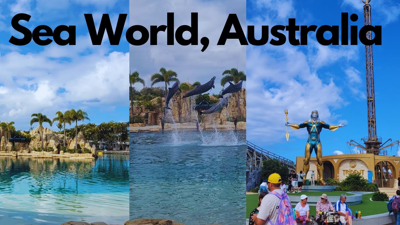 Sea World Complete Tour I Australia's BEST Theme Park | Gold Coast Queensland