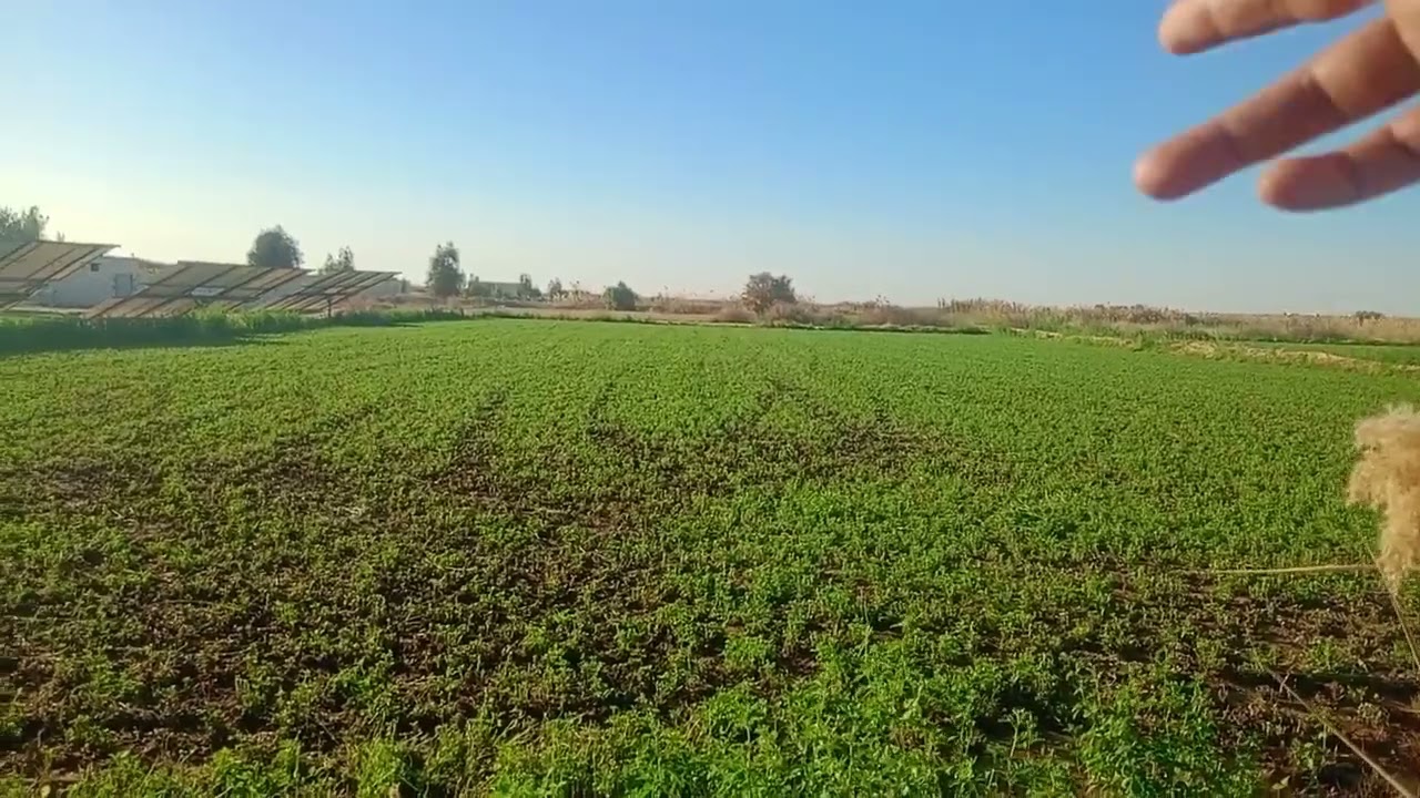 الوادي الجديد الفرافرة التربيعة عرضها كام ٠١١٢٢٤٧٤١٨٩