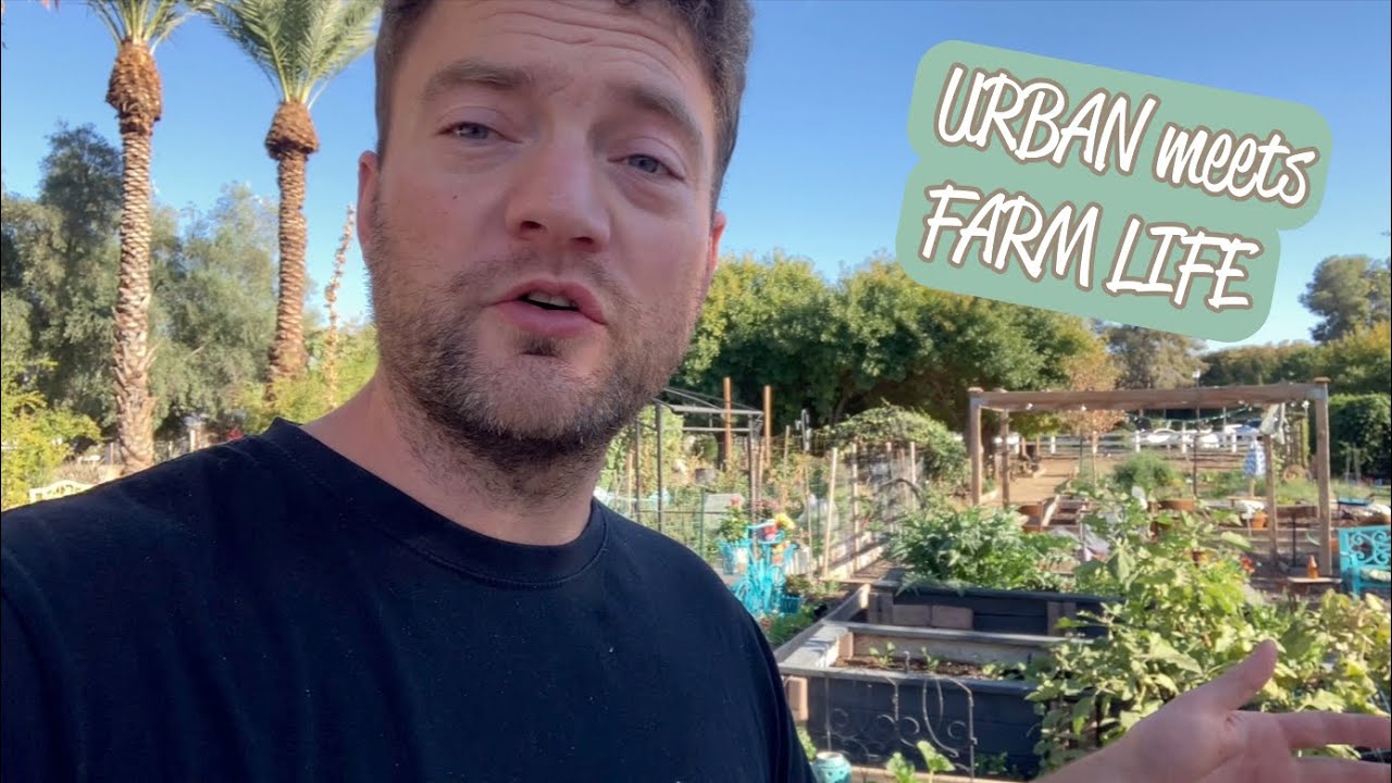 Stuck in City with a Farmer‘s Spirit: A Day at Agritopia