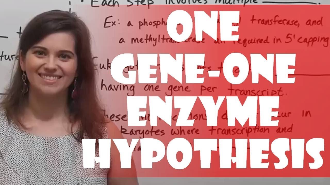 One Gene-One Enzyme Hypothesis (Beadle & Tatum Experiment)