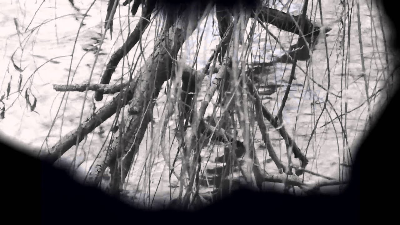 JULOS BEAUCARNE : "O Lac !" (texte : Julos Beaucarne)
